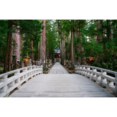 高野山麓　極ごまとうふ5個入　湯浅金剛空海醤油付き