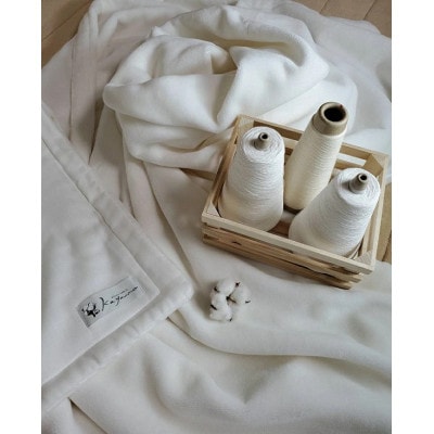 cotton snow 6重ガーゼとコットンパイルのリバーシブル毛布(シングル)ホワイト