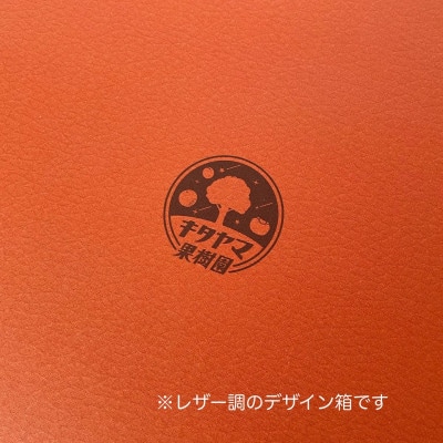 【先行受付】キタヤマ果樹園のたねなし柿　9～12個(2L～3L)オリジナル化粧箱入り(オレンジ箱)