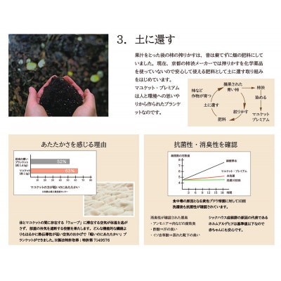 天然の抗菌・消臭剤「柿渋」使用 mayu-ket premium ハーフサイズ ライトベージュ