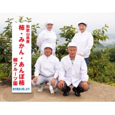 柳フルーツ園の富有柿 約2kg【2026年冬配送】