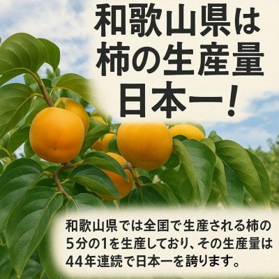 【先行予約】干し柿セット 約5kg【2026年秋冬配送】柳フルーツ園