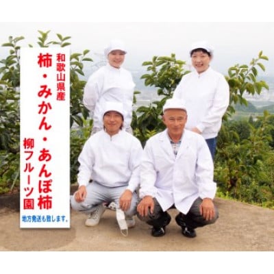 柳フルーツ園の干し柿セット 約7kg