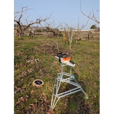 【先行予約】匠果樹園 富有柿【訳あり】約1.4kg 8～6玉【令和7年11月より順次発送】