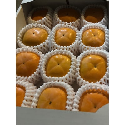 【先行受付】贈答用　たねなし柿　3kg