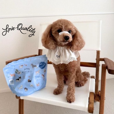 涙やけとるワン