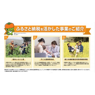【返礼品なし】和歌山県橋本市への応援寄附金(30,000円分)