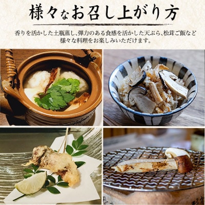 国産　天然高野松茸　約200g  2026年出荷【配送不可地域：離島・北海道・沖縄県】