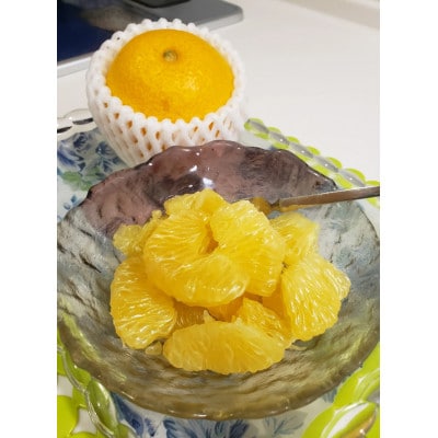 【特別栽培】和歌山県産　贈答用　八朔3L(8個入り)