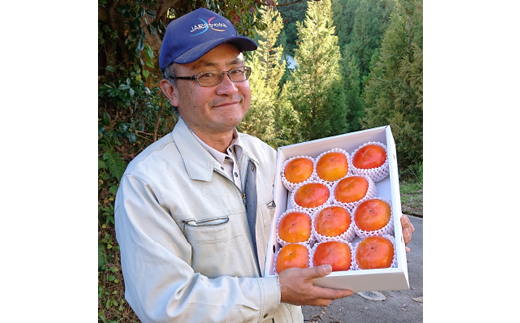 国城観光農園の富有柿11～12個(3～4L)