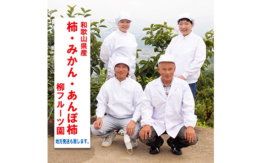 【あんぽ柿】柳フルーツ園の「紀州手作り　あんぽ柿」24個入り【配送不可地域：離島】