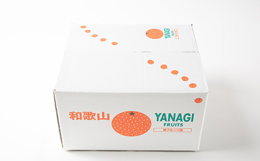 柿【先行受付】柳フルーツ園の訳ありたねなし柿　10kg