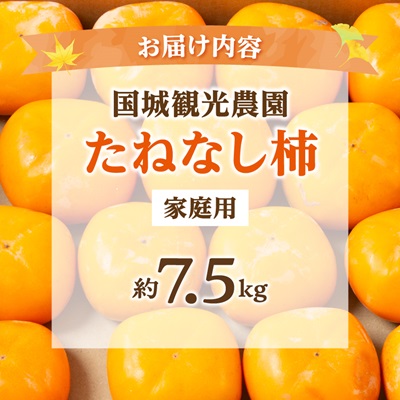 【2026年度発送分】国城観光農園のたねなし柿(家庭用・訳あり)約7.5kg