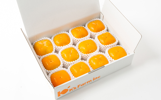 ケーズファーム　平たねなし柿　12～13個入　2L～3Lサイズ
