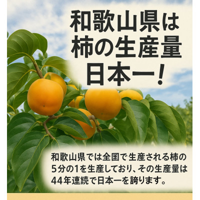 柳フルーツ園の「紀州手作り　あんぽ柿」16個入り(4個入り×4パック)【配送不可地域：離島】