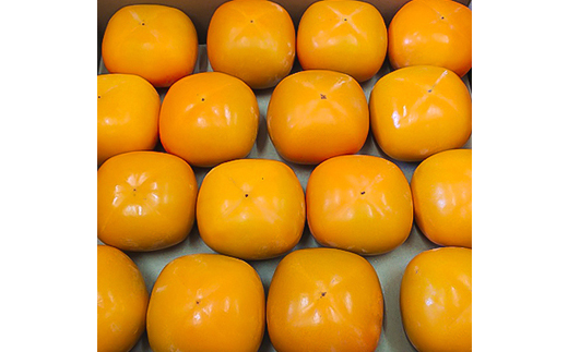 【令和8年度】柿カテゴリ上位獲得!　JAわかやま(紀北地域)のたねなし柿　7.5kg　L又は2L