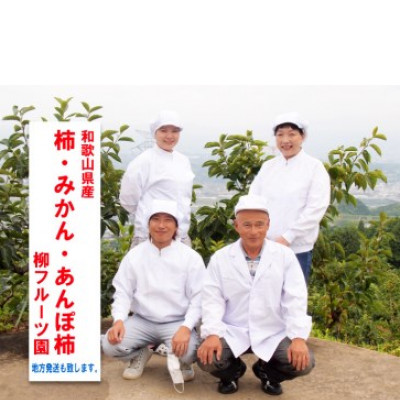 柳フルーツ園 たねなし柿 約2kg