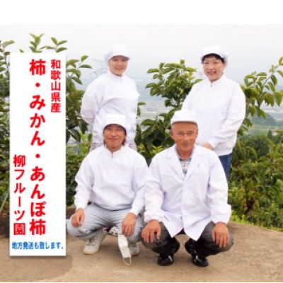 柿【先行予約2026年配送】たねなし柿 約5kg　柳フルーツ園