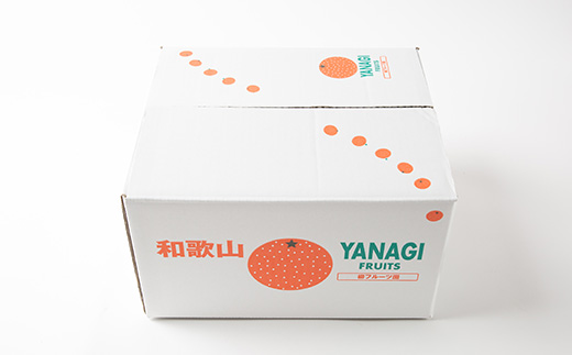 柳フルーツ園の訳あり富有柿 約10kg【2026冬発送】