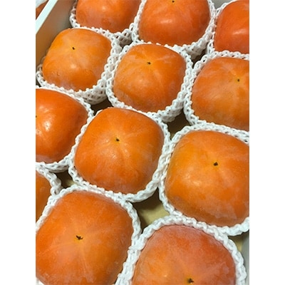 【2026年10月以降発送】あさみ農園の紀の川柿　11～15個