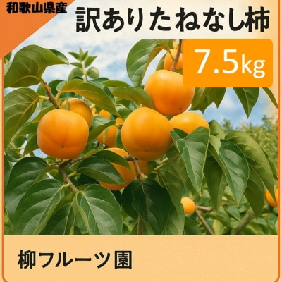 【先行受付】柳フルーツ園の訳ありたねなし柿7.5kg