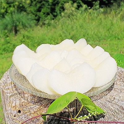 国城観光農園の梨(幸水)8個入り【配送不可地域：離島】