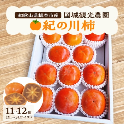 【2025年度発送分】国城観光農園の紀の川柿11～12個(2L～3Lサイズ)