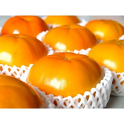 【先行受付】柳フルーツ園の富有柿　5kg【配送不可地域：離島】