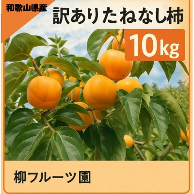 【先行受付】柳フルーツ園の訳ありたねなし柿　10kg