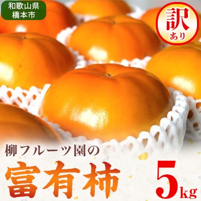 【先行受付】柳フルーツ園の訳あり富有柿　5kg