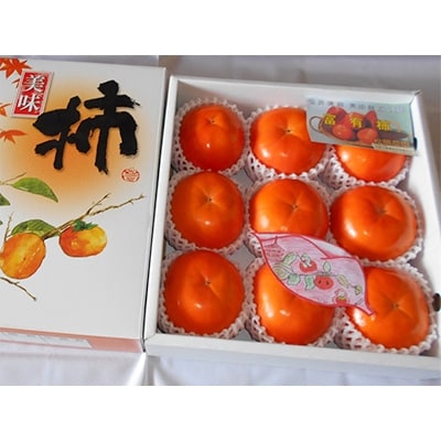 【先行予約:2026年配送】太陽の光をたっぷり浴びた松岡農園の富有柿(4L　9個)