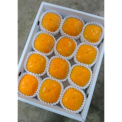 【2026年度発送分】国城観光農園のたねなし柿12個入り(2Lサイズ)【配送不可地域：北海道・沖縄県】