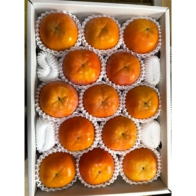 池上農園のあま～い富有柿　約4kg