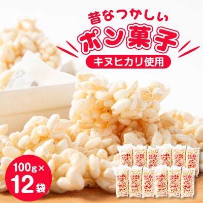 昔なつかしい　ポン菓子(100g×12袋)