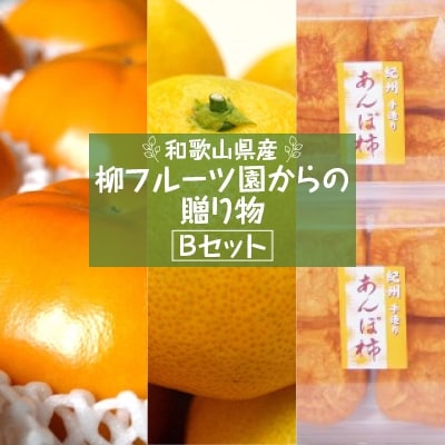 【先行受付】柳フルーツ園からの贈り物 Bセット