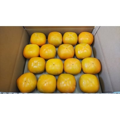 国城観光農園のたねなし柿28～36個入(L～3Lサイズ)