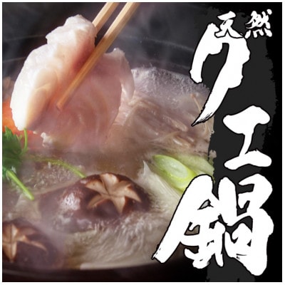 天然クエ鍋セット 肉厚＆コラーゲンたっぷり【配送不可地域：離島】