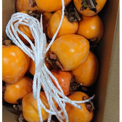 吊るし柿・干し柿用生渋柿(蜂屋柿)23～35個入り