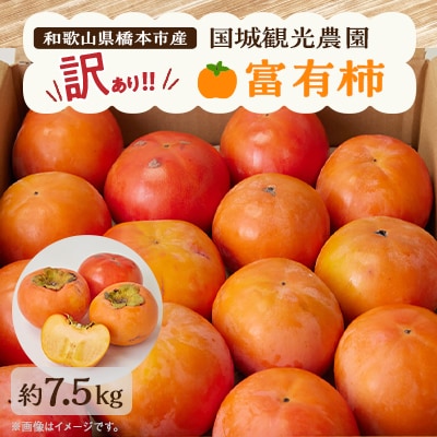 国城観光農園の富有柿(家庭用・訳あり)約7.5kg