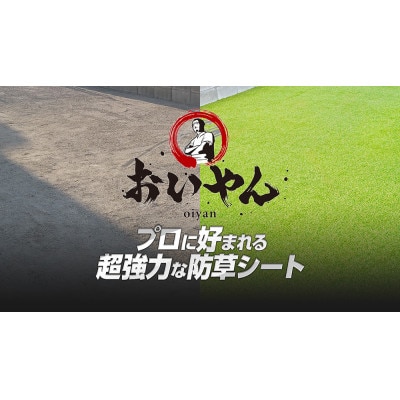 ガーデニングや庭の景観改善に使用　雑草を防ぎ草抜き作業を軽減　青々とした夏の人工芝防草シート