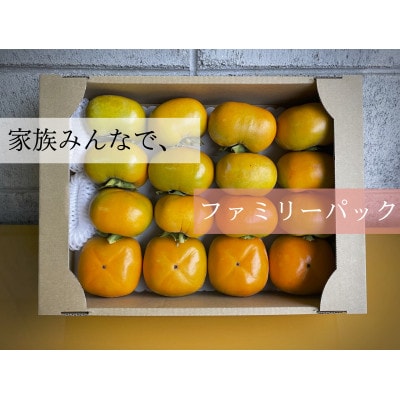 【先行受付】キタヤマ果樹園のたねなし柿　ファミリーパック(家庭用)15～20個入り(L～3L)