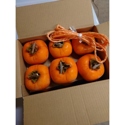 吊るし柿用生渋柿(ひらたねなし柿)　12個入り