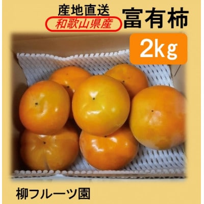 柳フルーツ園の富有柿 約2kg【2026年冬配送】
