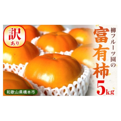 【先行予約】訳あり富有柿 約5kg　柳フルーツ園　2026年秋冬配送