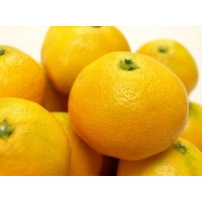 柳フルーツ園の訳ありみかん 5kg