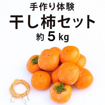 【先行予約】干し柿セット 約5kg【2026年秋冬配送】柳フルーツ園