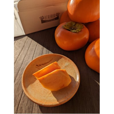 【先行予約】匠果樹園 富有柿【訳あり】約1.4kg 8～6玉【令和7年11月より順次発送】