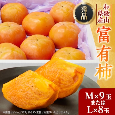 【先行予約】匠果樹園 富有柿【秀品】白紫箱 MまたはLサイズ【令和7年11月より順次発送】