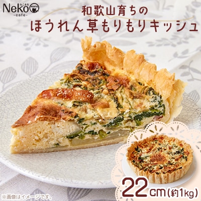 和歌山育ちのほうれん草もりもりキッシュ【配送不可地域：離島】