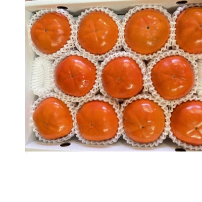 【2026年11月中旬以降順次発送】和歌山産　大玉　陽豊柿　9～12玉(2L～5L)　約3kg